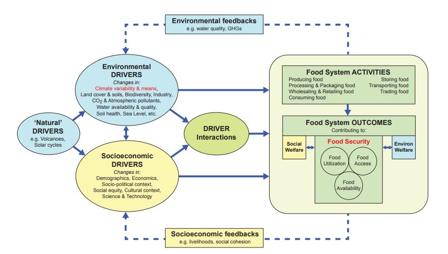 Climate Change, Global Food Security, And U.S. Food System Assessment ...